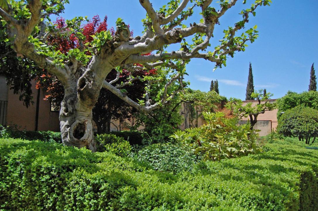 Un Vergel Al Pie De La Alhambra. Enjoy It Now!! Granada Kültér fotó